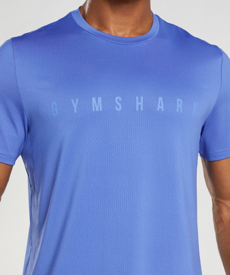 Men's Gymshark Sport Stripe T-Shirts Blue | NZ 6VOPCE